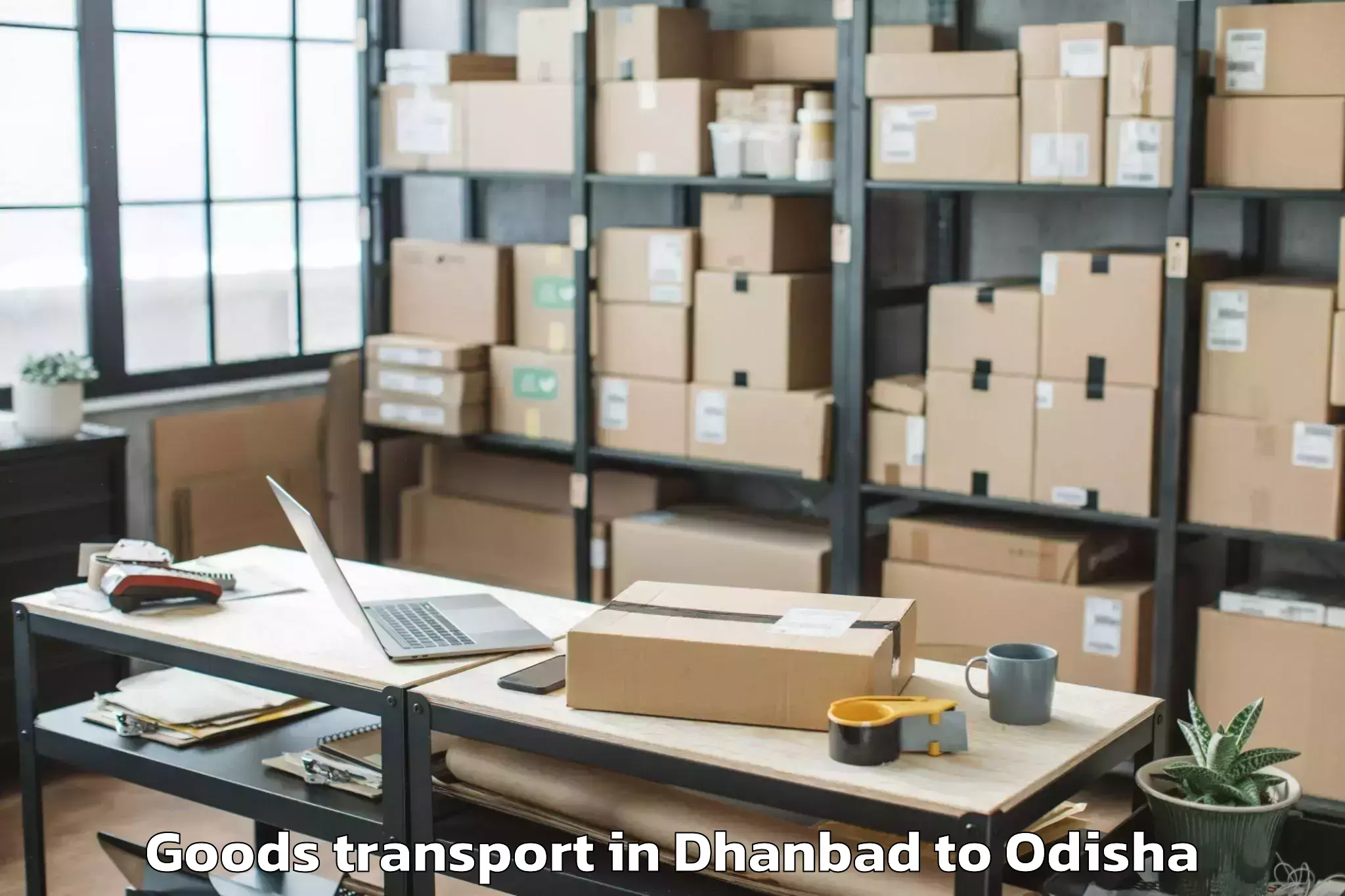 Trusted Dhanbad to Sgbl Square Mall Goods Transport